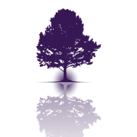 Adams County Colorado Divorce Lawyer