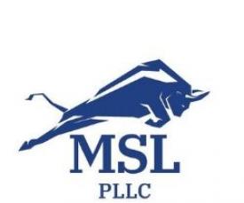 Law Offices of Michael S. Lamonsoff, PLLC