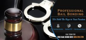 Professional Bail Bonding